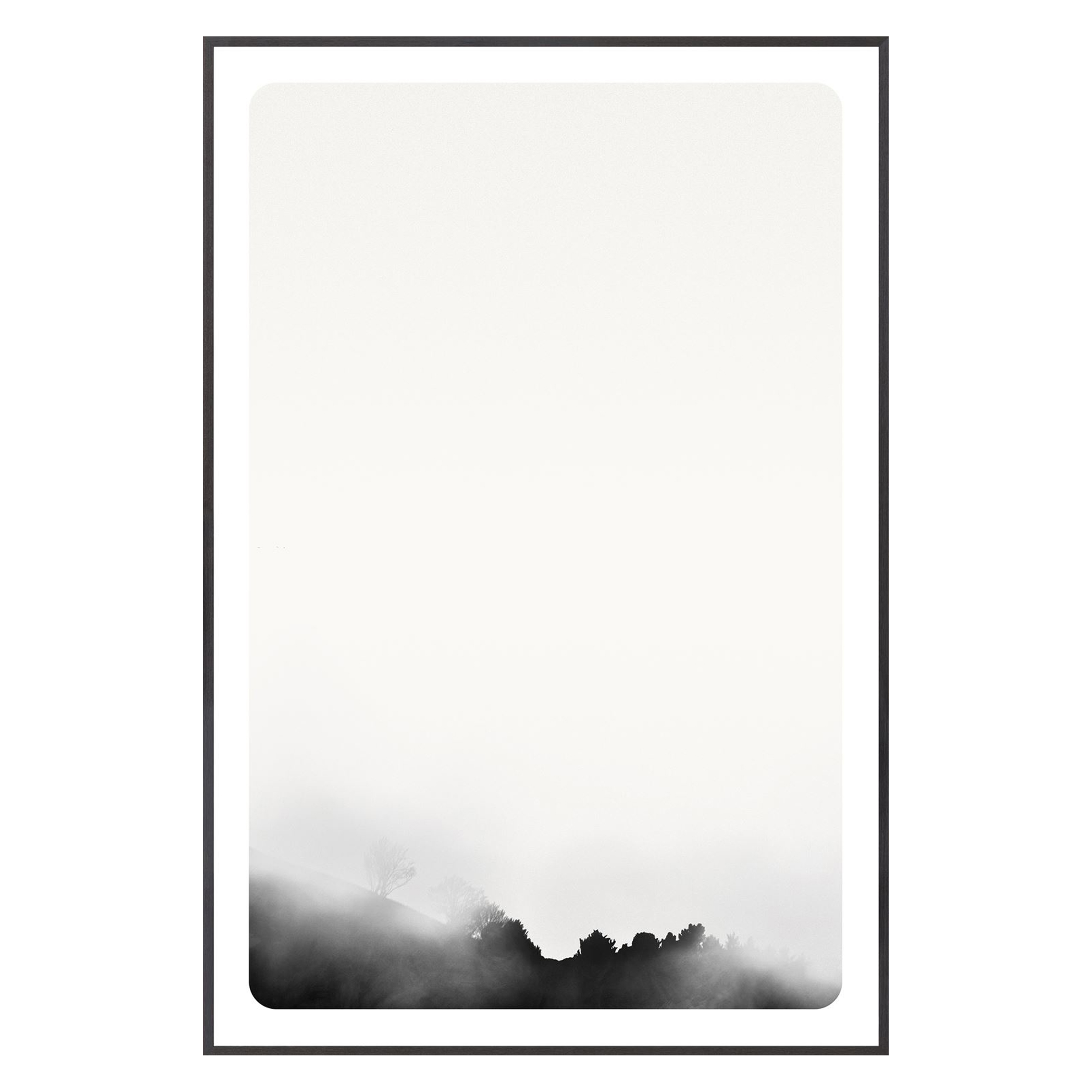 Calm and quiet, this series of fog immersed, inky black and white landscape photos offer the calm of wilderness.
