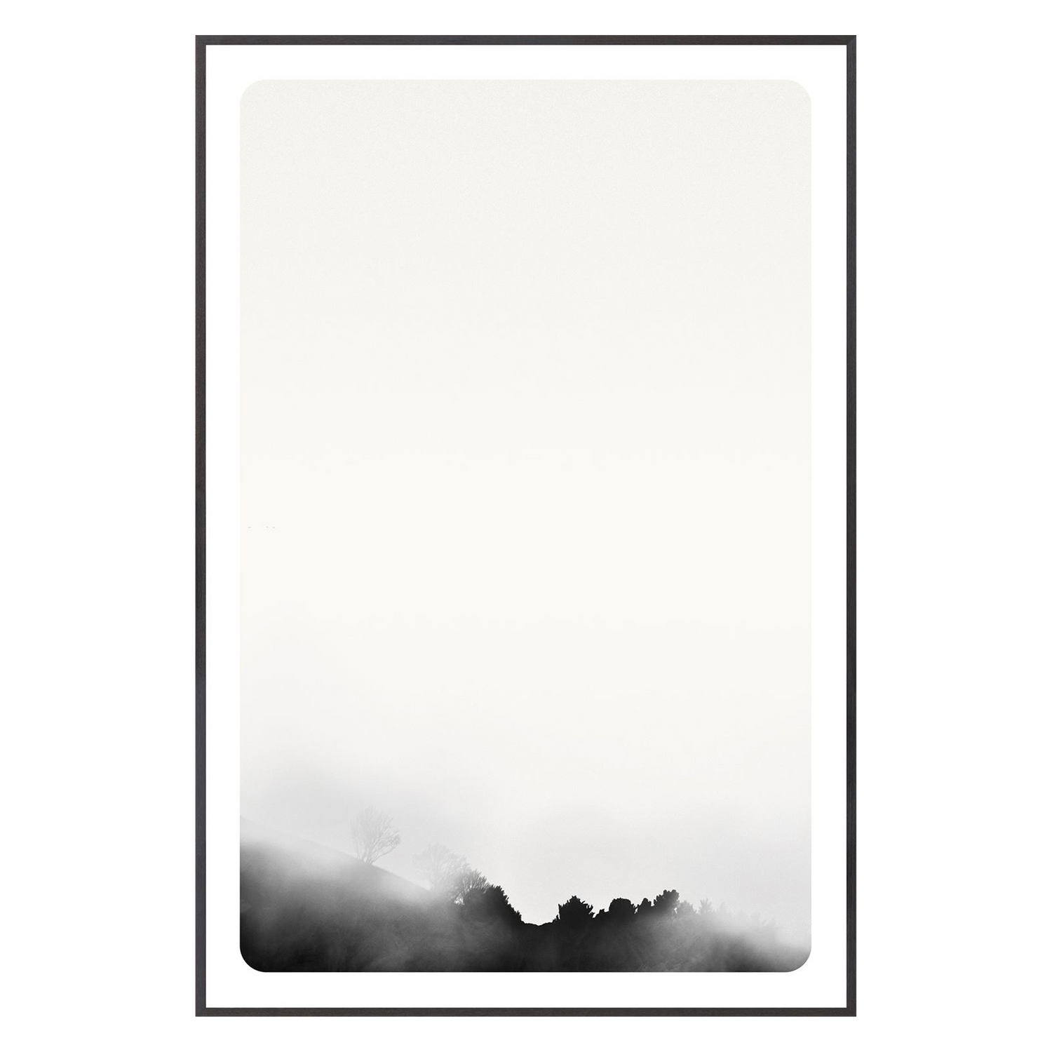 Calm and quiet%2C this series of fog immersed%2C inky black and white landscape photos offer the calm of wilderness.