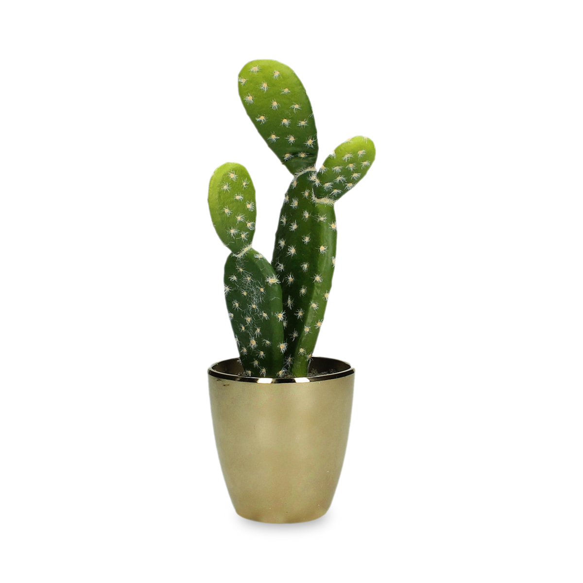 Cactus in Gold Pot