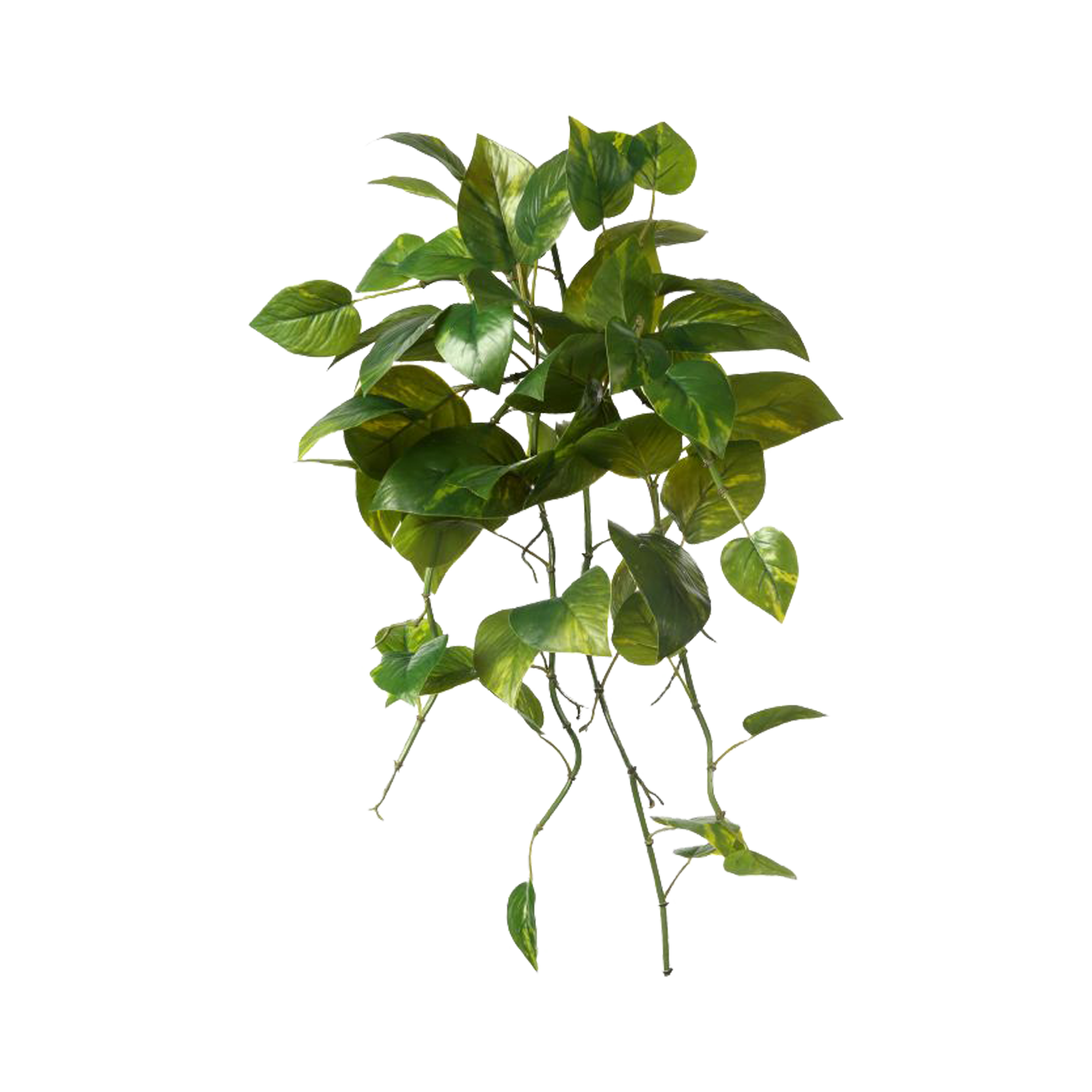 A beautiful faux Green Pothos Bush features a full appearance with beautifully scattered leaves throughout.